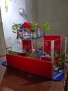 Aquarium ikan cupang hand made