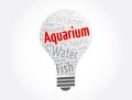 Aquarium light bulb word cloud, concept background