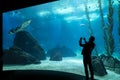 Aquarium in Lisbon