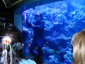 Aquarium Maintenance Diver. Aquarium of the Pacific, Long Beach, California, USA