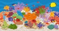 Coral reef in ocean