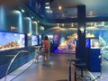 Aquarium Museum of the World Ocean