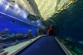 Aquarium observatory Royalty Free Stock Photo