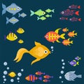 Aquarium ocean fish underwater bowl tropical aquatic animals water nature pet characters vector illustration Royalty Free Stock Photo