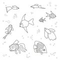 aquarium outline fish set on white background