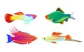 Aquarium fish silhouette isolated on white icons Royalty Free Stock Photo