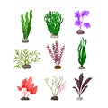 aquarium plant set cartoon vector illustration