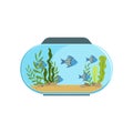 Aquarium in round shape with blue exotic fishes. Freshwater fish tank with seaweed and stones on sand. Underwater world Royalty Free Stock Photo