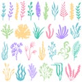 Aquarium seaweed silhouette. Underwater planting plant and seaweeds for aquariums decor. Sea plants vector set