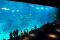 Aquarium, Singapore Royalty Free Stock Photo