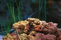 A beautiful Aquarium under water tank