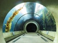 Aquarium tunnel in California Science Center