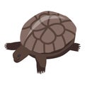 Aquarium turtle icon, isometric style Royalty Free Stock Photo