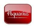 Aquarius zodiac icon red glossy Royalty Free Stock Photo