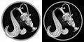 Aquarius zodiac sign astrological horoscope symbol. Pixel monochrome icon. Stylized graphic black white amphora