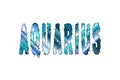 Aquarius zodiac, Water Bearer horoscope, Banner, Poster and Sticker