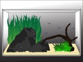 Aquascape