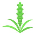 Aquatic alga icon isometric vector. Marine plant Royalty Free Stock Photo