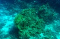 Aquatic Blue Deep Seabed Underwater Background