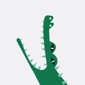 Aquatic crocodile cartoon vector graphics Royalty Free Stock Photo