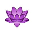 Aquatic flower - Violet Lotus Royalty Free Stock Photo