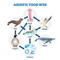 Aquatic food web vector illustration. Labeled educational water life scheme