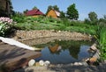 Aquatic garden Royalty Free Stock Photo