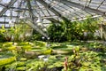 Aquatic garden with different species of water plant. Water lilies,Victoria Amazonica,Water Hyacinth, Blue Lotus. Royalty Free Stock Photo