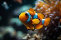 Aquatic harmony Vibrant fish, underwater world, peaceful marine life Royalty Free Stock Photo