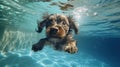 Aquatic Playtime: A Joyful Puppy\'s Underwater Adventure