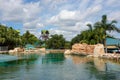 The Aquatica Water Park in Orlando, Florida