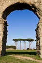 Aqueduct in the Parco degli Acquedotti (Rome)