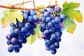 Aqueous Blue grape watercolor. Generate Ai
