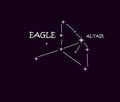 Aquila eagle constellation in the night starry sky.