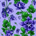 Aquilegia flower seamless pattern 2