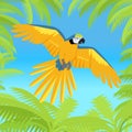 Ara Parrot Flat Design Vector Illustration Royalty Free Stock Photo