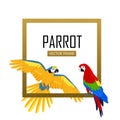 Ara Parrot Flat Design Vector Illustration Royalty Free Stock Photo