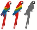 Ara Parrot. Macaw exotic Bird. Tropical animal. Vector Royalty Free Stock Photo