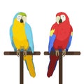 Ara parrot. Macaw. Vector cartoon illustration of red macaw and blue and yellow macaw sitting on a perch. Royalty Free Stock Photo