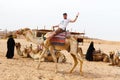 Arab boy rolls tourists on a camel. Royalty Free Stock Photo