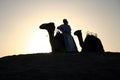 An Arab Camel Herder Royalty Free Stock Photo