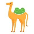 Arab camel icon, cartoon style