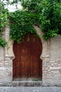 Arab door in granada