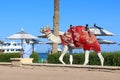 Arab leading camel on leash over territory of hotel among vacationers