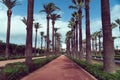 The Arab League Park (Parc de la Ligue arabe ) is an urban park in Casablanca, Morocco Royalty Free Stock Photo