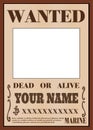 one piece wanted poster