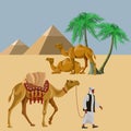 Arab man with a camel in the desert
