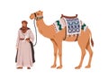 Arab man and camel. Moroccan bedouin holding, owning desert animal transport with saddle, bridle. Arabian nomad. African