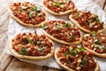 Arab mini pizza with minced meat, tomatoes, onions, spices and pine nuts closeup. horizontal Royalty Free Stock Photo