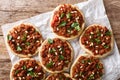 Arab mini pizza with minced meat, tomatoes, onions, spices and pine nuts closeup. horizontal top view Royalty Free Stock Photo